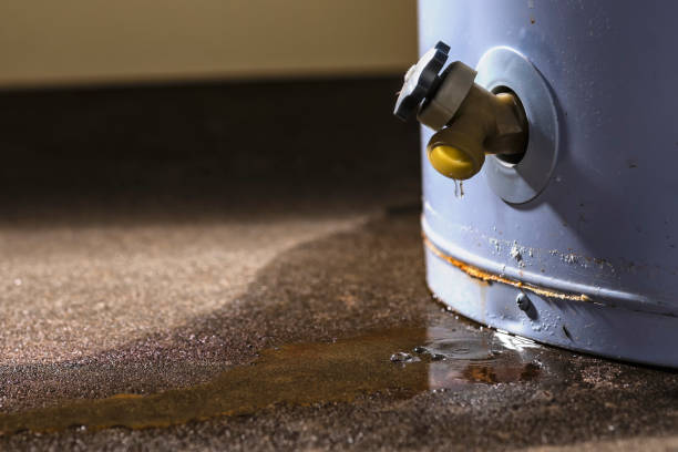 Best Water damage contractors near me  in West Baraboo, WI