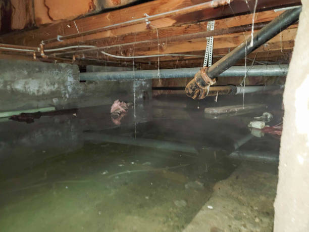 Best Sewage cleanup and water damage restoration  in West Baraboo, WI