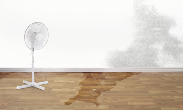 Best Local water damage restoration  in West Baraboo, WI