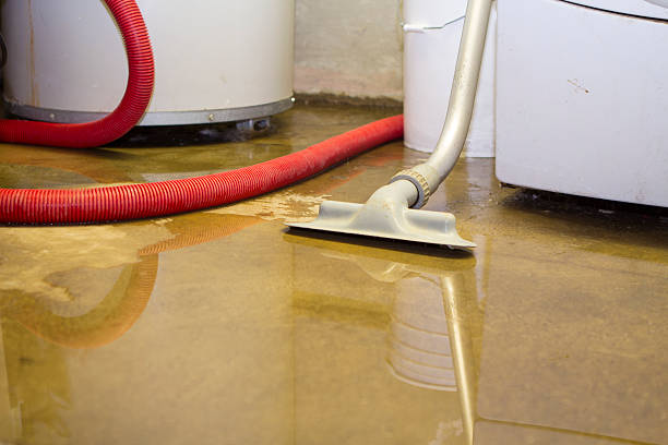 Best Mold removal after water damage  in West Baraboo, WI