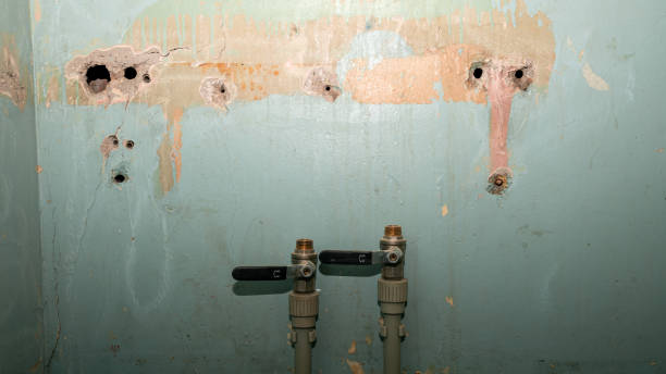 Best Carpet water damage restoration  in West Baraboo, WI
