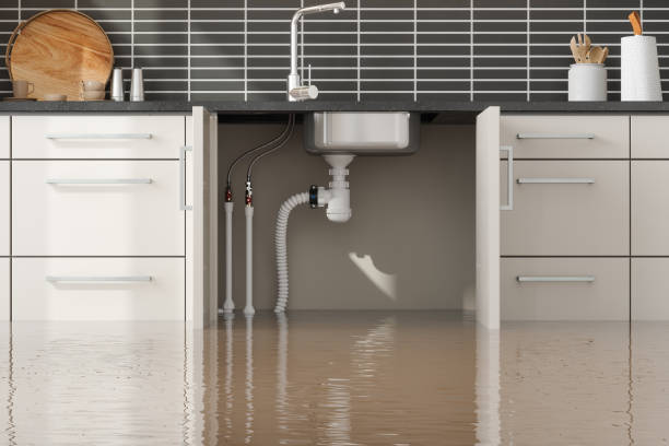 Best Sewage cleanup and water damage restoration  in West Baraboo, WI