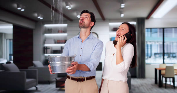 Best Basement water damage restoration  in West Baraboo, WI